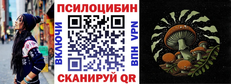 дарнет шоп  Павлово  Псилоцибиновые грибы MAGIC MUSHROOMS 